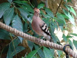 Tiergarten Schönbrunn am 23.03.2023